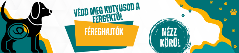 Féreghajtó kutyáknak – Hatékony védekezés a bélférgekkel szemben