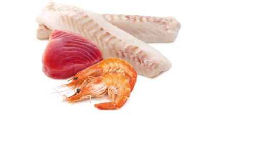 N&D Cat Ocean konzerv tonhal tőkehal garnélarák sütőtökkel tálalva